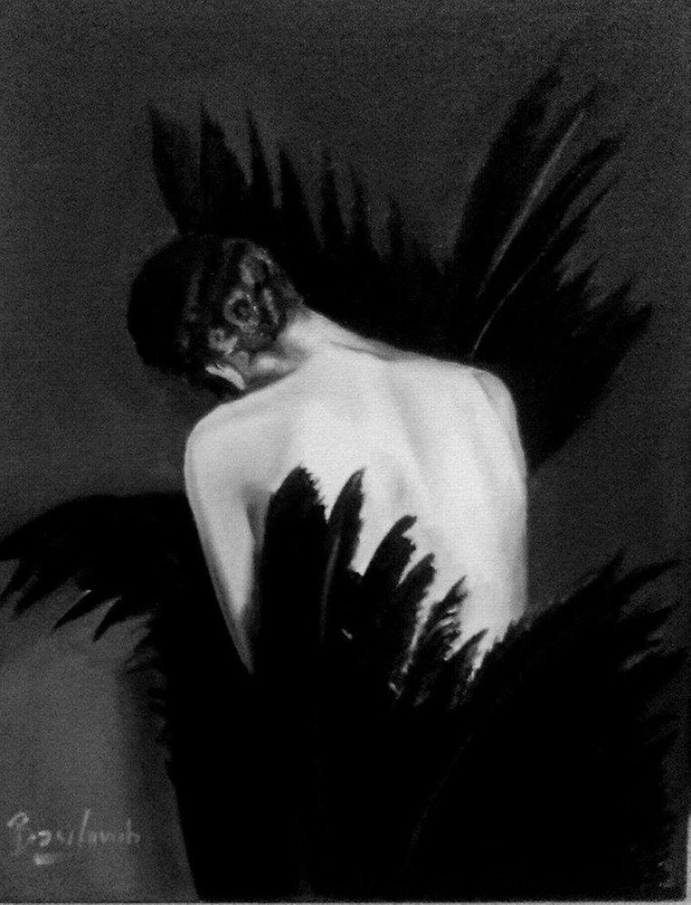 Black Swan - Oil on Canvas